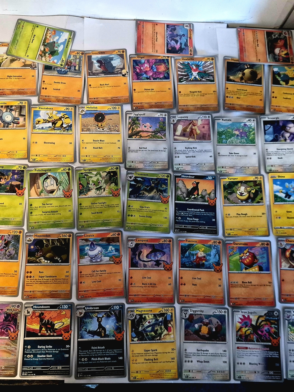Pokémon Pokémon Trading Card assortment
